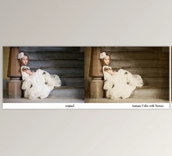 Download Nichole Van (Flourish Emporium): Antique Vintage Actions & Textures