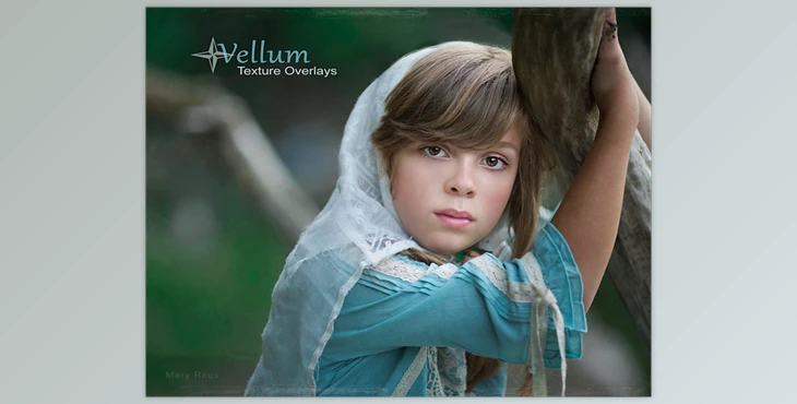 Download Portrait Pizzaz: Vellum Texture Overlays