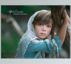Download Portrait Pizzaz: Vellum Texture Overlays