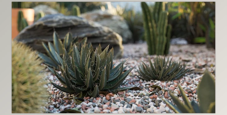 Download Maxtree – Plant Models Vol 25 (2023)