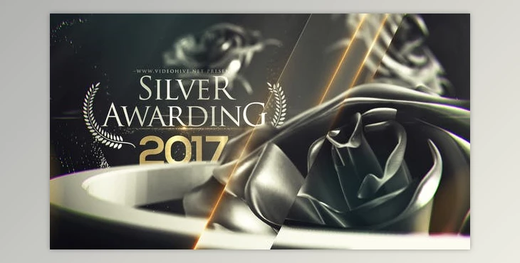 Download Silver Awarding Pack (Videohive 20427314) - AE Project