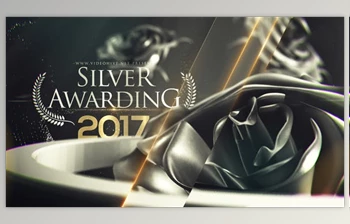 Download Silver Awarding <span class='badge badge-warning'>Pack</span> (Videohive 20427314) - AE Project