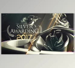 Download Silver Awarding Pack (Videohive 20427314) - AE Project