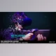Download Pixel Disintegration_Slideshow (Videohive 45464169) - AE Project
