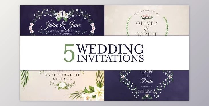 Download Wedding Invitation (Videohive 45106221) - AE Project