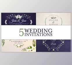 Download Wedding Invitation (Videohive 45106221) - AE Project