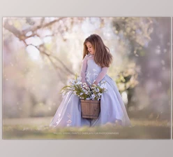 Download Kimla Designs – Pastel Spring Overlays