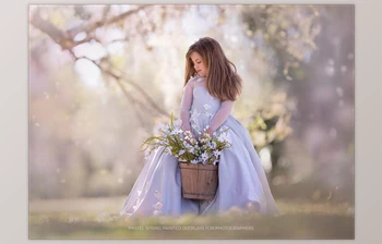 Download Kimla Designs – Pastel Spring <span class='badge badge-warning'>Overlays</span>