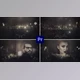 Download Golden Silver Ceremony | Celebration Awards Titles (Videohive 45530926)