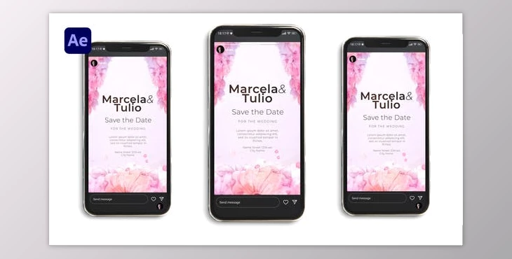 Download Wedding Invitation Instagram (VideoHive 45743430) - AE Project