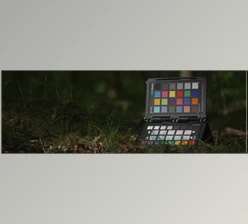 Download Leeming Lut Pro Panasonic