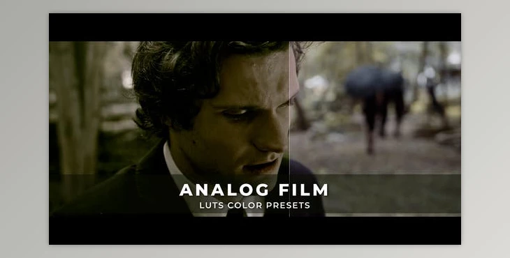Download Analog Film Luts (Videohive 43556237)