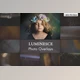 Download Luminesce Photo Overlays CreativeMarket - 13461418