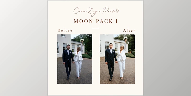 Download Cara Zagni – Moon Preset Pack 1