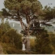 Download Archipelago Quest – Quest 25 Fable Presets