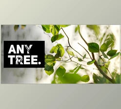 Download Blender Market - Anytree v2.1.2