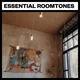 Download Big Room Sound – Essential Roomtones