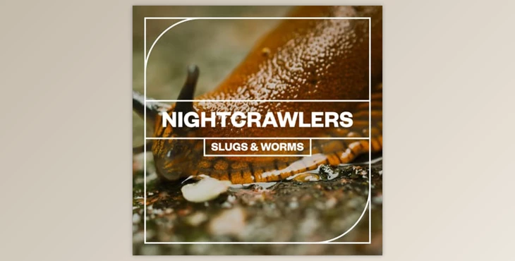 Download Blastwave FX – Nightcrawlers Slugs and Worms