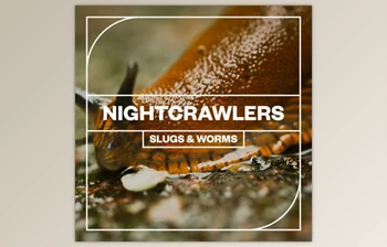 Download <span class='badge badge-warning'>Blastwave</span> <span class='badge badge-warning'>FX</span> – Nightcrawlers Slugs and Worms
