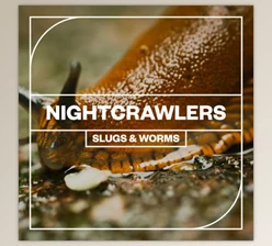 Download Blastwave FX – Nightcrawlers Slugs and Worms