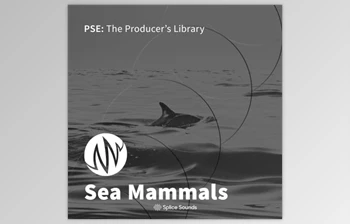 Download <span class='badge badge-warning'>PSE</span> The <span class='badge badge-warning'>Producer</span>’<span class='badge badge-warning'>s</span> <span class='badge badge-warning'>Library</span> Sea Mammals
