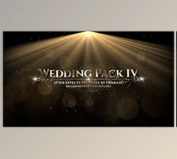 Download Wedding (Videohive 20362495) - AE Project