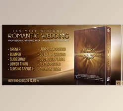 Download Romantic Wedding (Videohive 5600098) - AE Project
