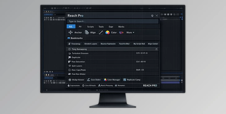 REACH Pro