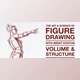 Download The Art & Science of Figure Drawing / VOLUME & STRUCTURE / ORIENTATION