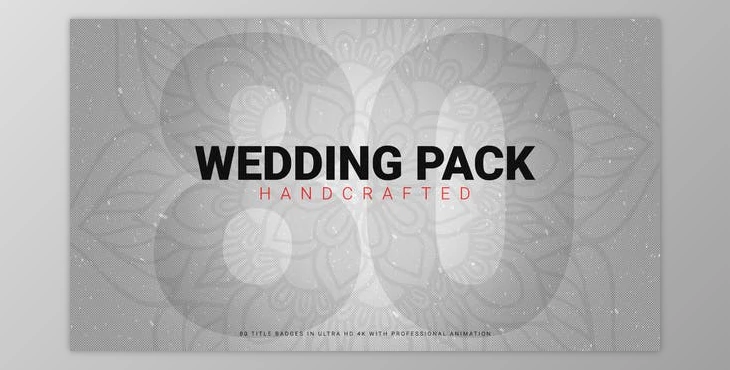 Download Wedding Pack 80+ Handcrafted (Videohive 46294281) - AE Project