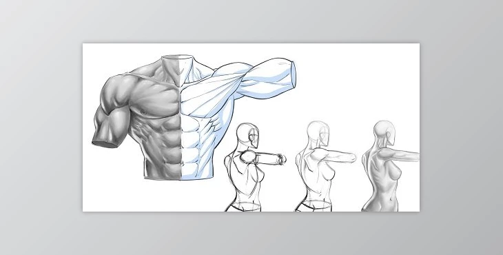 Download Figure Drawing – Line Art and Value