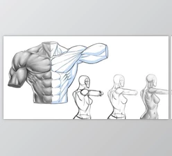 Download Figure Drawing – Line Art and Value