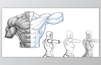 Download Figure <span class='badge badge-warning'>Drawing</span> – Line Art and Value