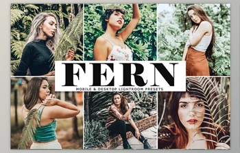 Download Fern Lightroom Presets <span class='badge badge-warning'>Pack</span> CreativeMarket - 4140047