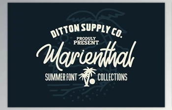 Download Marienthal Font <span class='badge badge-warning'>Bundle</span> + Extras