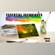 Download Essential Techniques for Outstanding Paintings
