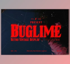 Download Buglime – Retro Vintage Serif Font