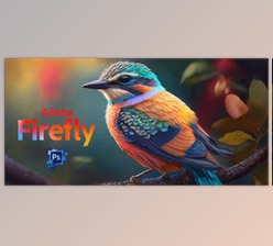 Download Adobe Firefly Complete Guide: Learn to Use AI in Projects