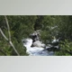 Download A car wreck got dragged along with a furious river current (Videohive 45912457)