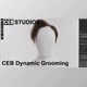 Download Blender Market - Dynamic Grooming v0.67