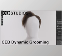 Download Blender Market - Dynamic Grooming v0.67