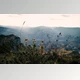 Download Cinematic Colors Presets Pack — Viktor Balaguer