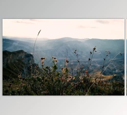 Download Cinematic Colors Presets Pack — Viktor Balaguer