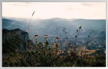 Download Cinematic Colors Presets <span class='badge badge-warning'>Pack</span> — Viktor Balaguer