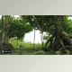 Download Growfx V2.0.1 FOR 3DS MAX 2024
