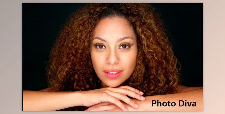 Download PHOTODIVA 5.0 WIN X64