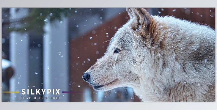 Download SilkyPix Developer Studio Pro