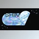 Download Minimal Holographic Typo (Videohive 43421315) - PR Project