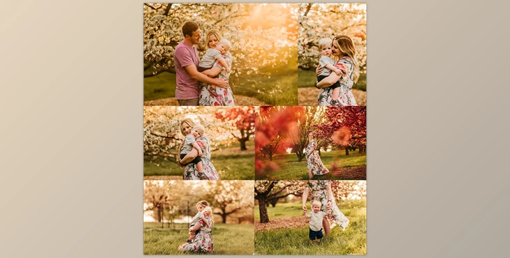 Download Lemon & Lace – Sunshine Lightroom Presets