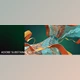 Adobe - Download Substance 3D Designer v16.0.3 (Win, Mac-v12.4.0)